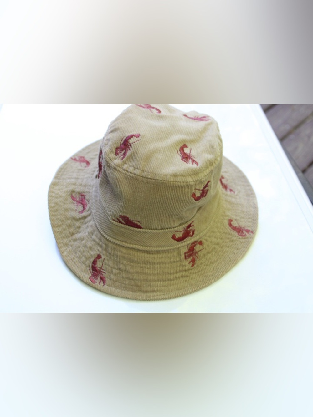 J. Crew lobster embroidered hat